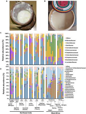 Comparative analyses of the bacterial communities present in the spontaneously fermented milk products of Northeast India and West Africa